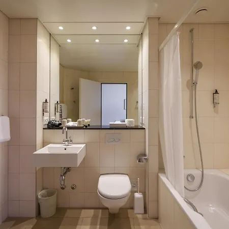 Schweizerhof 3* בזל